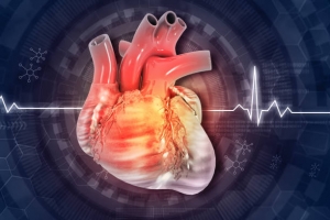 Cardiovascular Monitoring and Diagnostic Devices market is estimated to witness high growth  