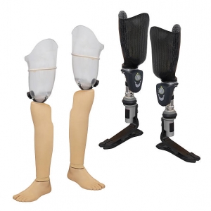 Cervical Total Disc Replacement Device Market: A Strategic Industry Analysis