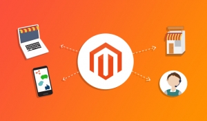 The Power of Magento: Experience Peak Performance with Our Demo Store