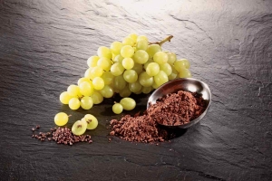 Technological Advancements Shaping the Future of Grape Seed Extract Market
