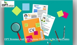 OPT Resumes And OPT Resume Database in The United States