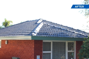 Superb tips for painting a metal roof