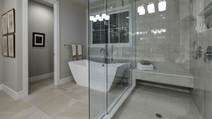 Chicago Glass Shower Doors Company: A Synonym for Elegance and Quality