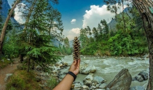 Kasol