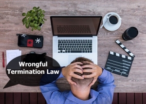 Facing Employment Issues? Guidance from a Trusted Wrongful Termination Lawyer