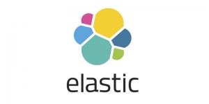 Optimizing Business Success with Solr Services and Elasticsearch Consulting
