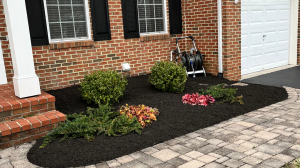 Landscaping Bel Air MD - The Detail Guys