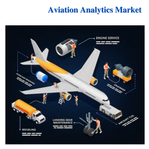 Analyzing the Size and Scope of the Aviation Analytics Market