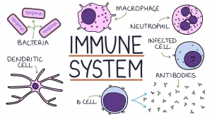 Boost Your Immune System with These 7 Helpful Tips.