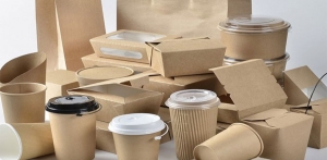 Beyond Sustainability: Biodegradable Packaging Market Driving Environmental Responsibility