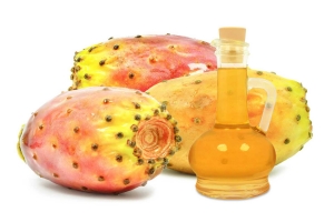 Setting up a Prickly Pear Seed Oil Processing Plant: Project Report 2024 Edition, Business Plan