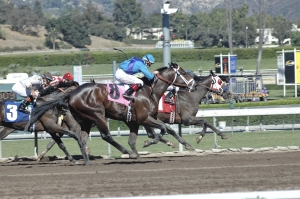 A horse race in progress