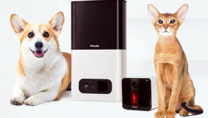 The Role of Technology in Pet Care: Gadgets and Apps for Pet Owners