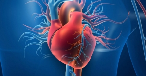 Cardiovascular Market: A Comprehensive Landscape of Devices, Drugs, and Innovations: Ken Research