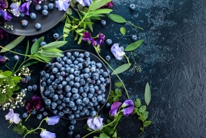 merging Markets and Opportunities: Charting the Future of the Blueberry Ingredients Industry