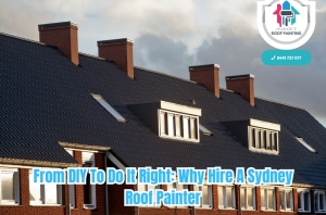 From DIY To Do It Right: Why Hire A Sydney Roof Painter