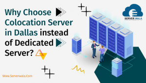 Dedicated Server vs Colocation Server in Dallas: Which is Best?