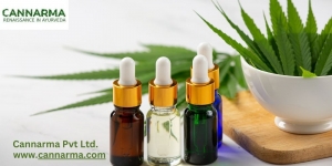 Surprising Ways Hemp Seed Oil Benefits Your Skin