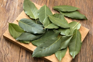 Crafting Culinary Masterpieces: Bay Leaf Market's Artisan Bay Leaf Selection