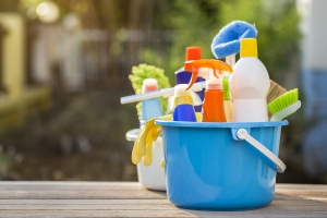 Market Resilience: Lessons Learned from the Household Cleaners Market Amidst Uncertainty