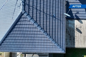 The Ultimate Tile Roof Repair Guide You Need!