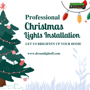 Enchanting Christmas: Transform Your Home with Seamless Lights Installation by Dream Lights in Florida