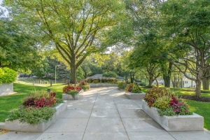 5 Steps Involved in a Landscaping Overhaul