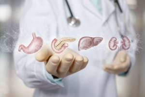 Digestive Enzyme Market is Estimated to Witness High Growth Owing to Rising Digestive Issues