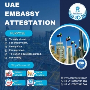 UAE Attestation Services: Choosing the Right Provider