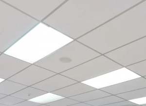 Gypsum Board Market Insights: Shaping the Future of Interior Design and Architecture