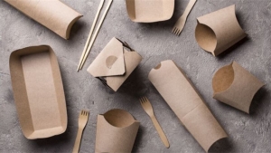 Navigating the Global Landscape: Paper Packaging Market Insights and Strategies