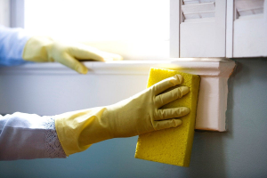 The Cornerstone of Productivity: Why Hygiene is Paramount in the Workplace