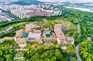 Unlocking Your Dream Home: A Comprehensive Guide to the Best Rochester Real Estate Agents