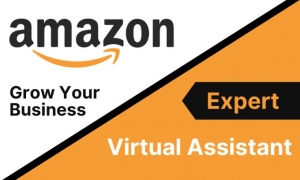 Unveiling the Reality: Are 'Expert' Amazon Virtual Assistants Worth the Hype?