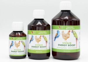 Verbeter de Gezondheid en Immuniteit Van Vogels met Een Voedzaam Energie Supplement