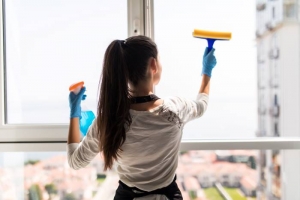 Professional Window Cleaning vs Maid Cleaning?