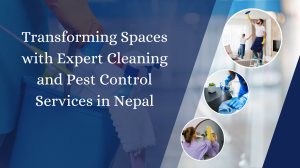 Transforming Spaces with Expert Cleaning and Pest Control Services in Nepal