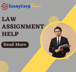 The 5 Tips To Make The Best Law Assignment Help