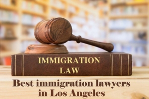 The Ultimate Guide for Unraveling USCIS Immigration Procedures