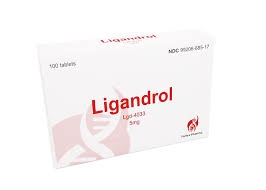 Unveiling the Power of LGD-4033