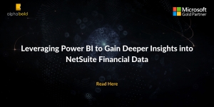 Leveraging Power BI to Gain Deeper Insights into NetSuite Financial Data
