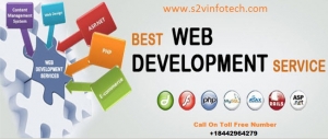 S2V Infotech's Best Website Development Services in the USA