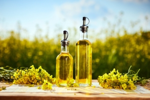 Why Cooking Canola Oil Is Beneficial for Your Health?