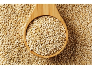 Quinoa Grain Market Dynamics: Analyzing the Impact of Economic Factors on Growth