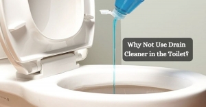 Why Not Use Drain Cleaner in the Toilet?