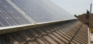 DefendingYourSolarPanels:TheImportanceofPigeonProtectionGuardsforOptimalEnergyEfficiency