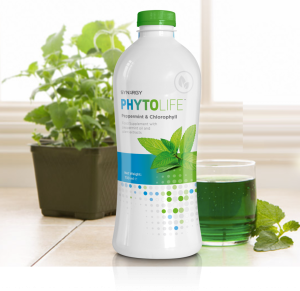 Nurturing Well-being: A Comprehensive Guide to Phytolife, Synergy Phytolife, and their Impact on Gut Health & Heart Health