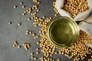 Soy Lecithin Market Melody: Orchestrating Trends in the Infant Formula Landscape