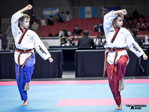 Taekwondo Poomsae - The Art of the Hand and Foot