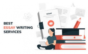 essay writing services